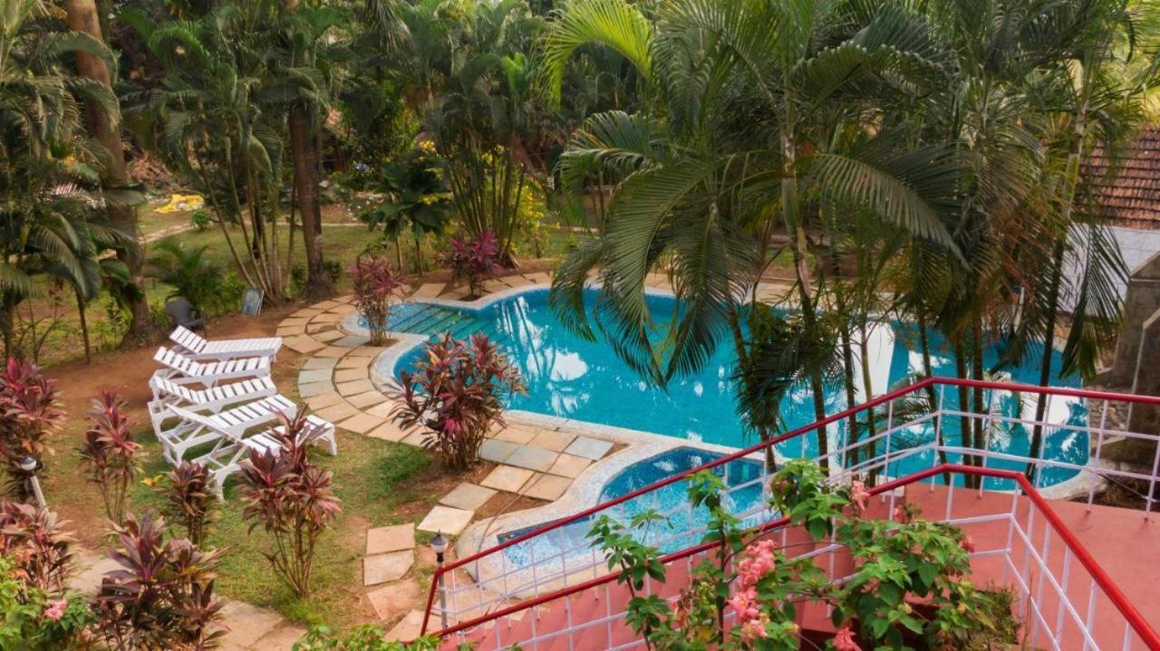 Tropical Valley Resort Morjim Exteriér fotografie